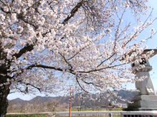 写真_リハビリ月間活動内容6