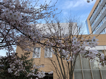 写真１
