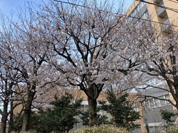 写真２