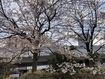 写真３