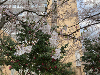 写真４